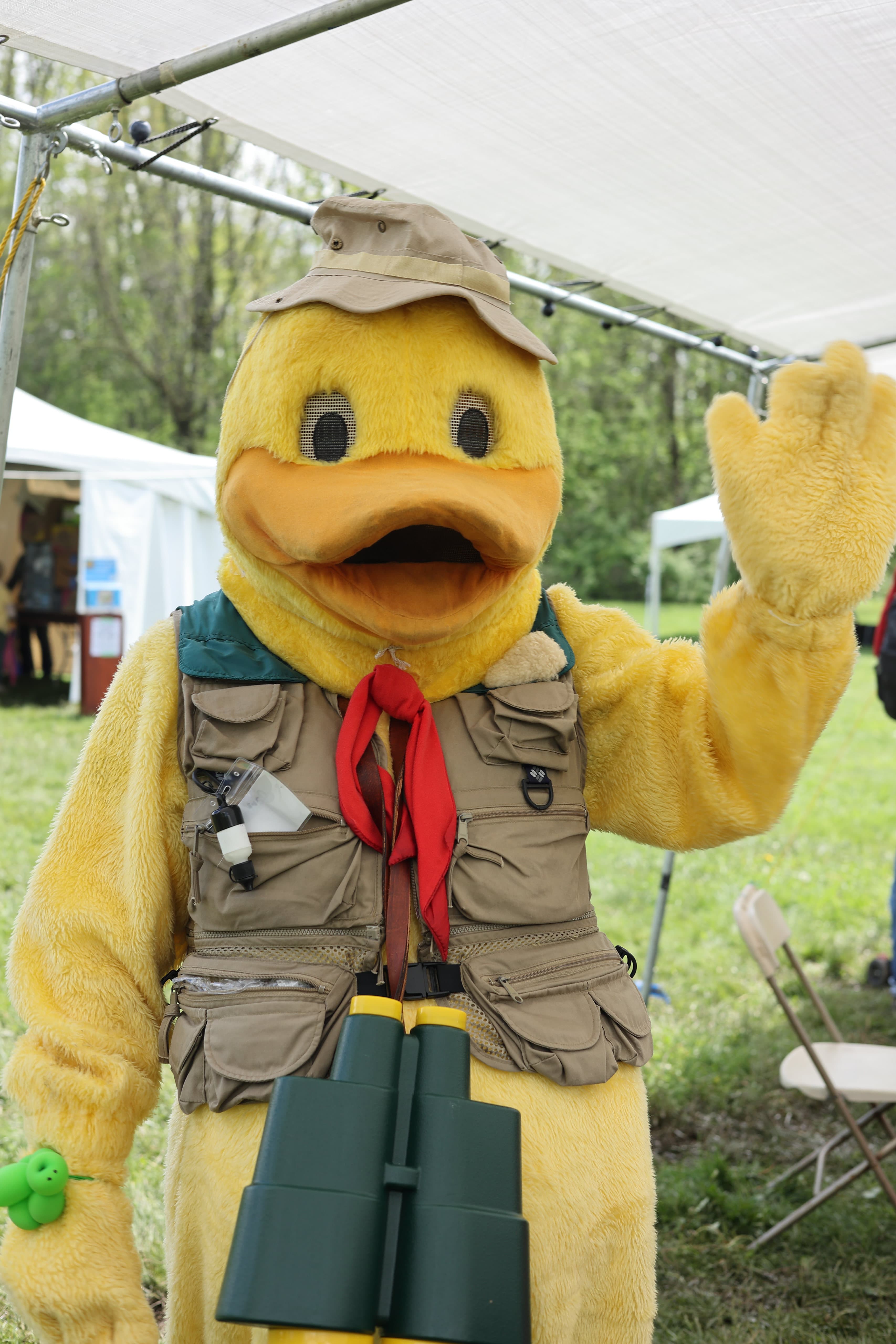 PARADE LED BY FESTIVAL MASCOT, DARBY DUCK